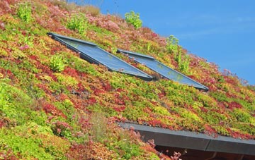 Emberton living roof systems